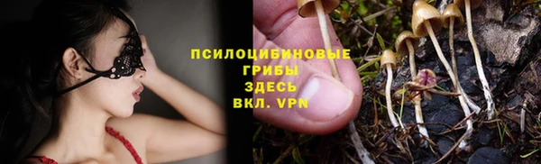 амф Алексин
