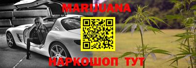 хмурый Камень-на-Оби