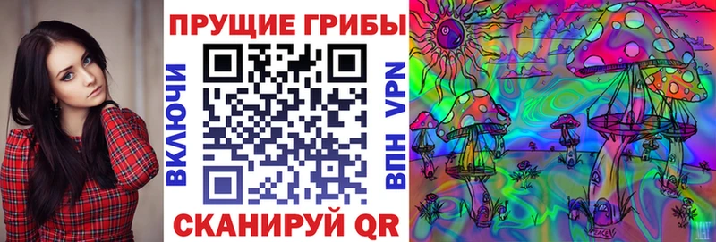 ссылка на мегу рабочий сайт  Мегион  Галлюциногенные грибы Psilocybe 